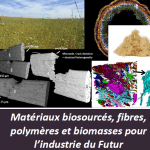 Journée Scientifique et Technique ‘Matériaux Biosourcés, fibres, polymères et biomasses pour l’industrie du Futur’ le 26 septembre