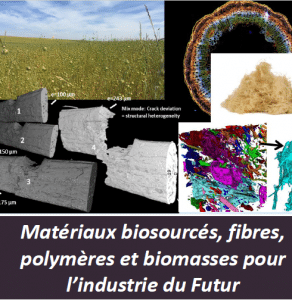 Journée Scientifique et Technique &lsquo;Matériaux Biosourcés, fibres, polymères…